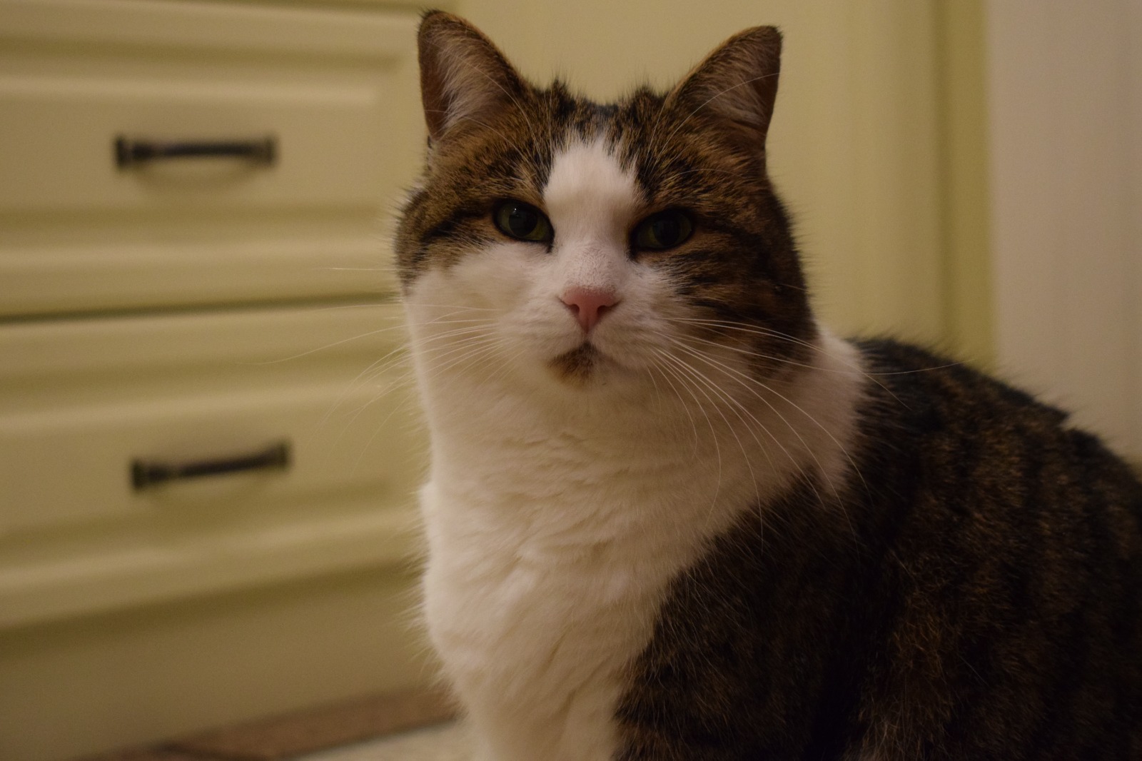 Persönliches Foto 2