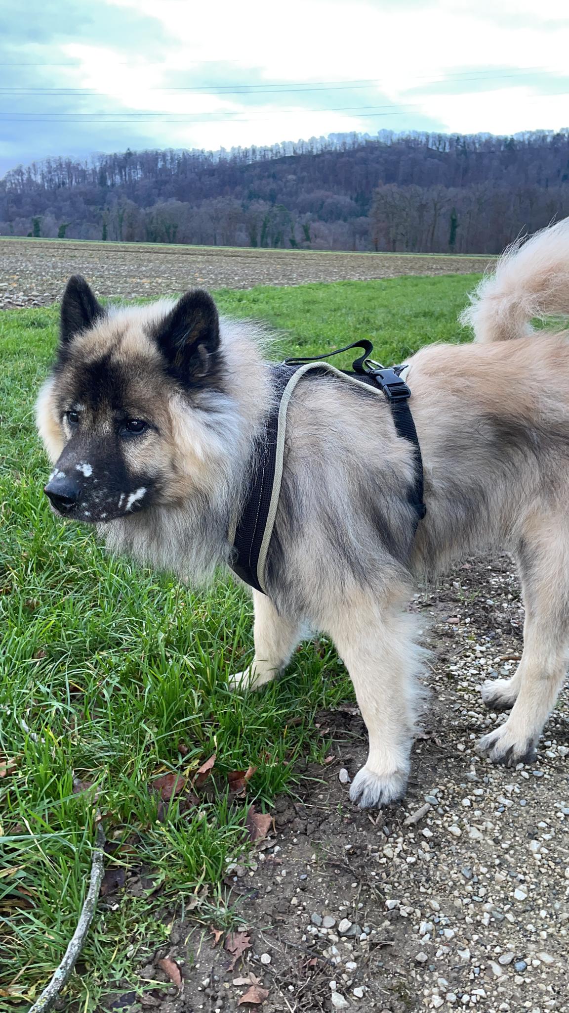 Persönliches Foto 3